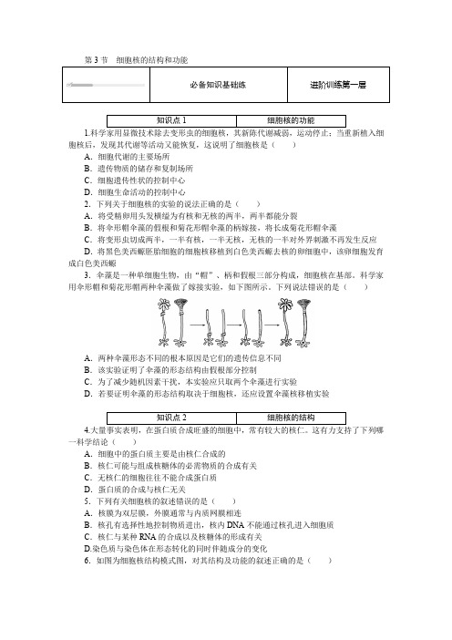 3.3 细胞核的结构和功能