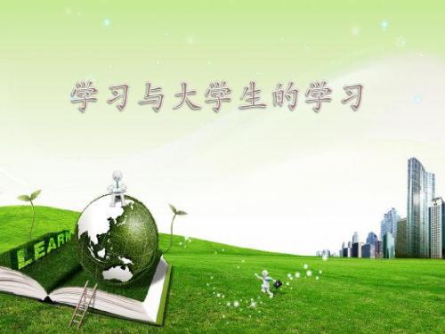 第四组学习与大学生学习PPT