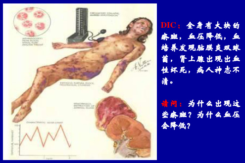 绪论疾病概论本PPT课件