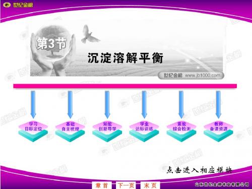 3.3化学沉淀溶解平衡,有题及非常详细答案