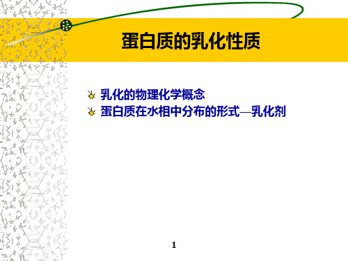 中国农业大学食品化学课件12文档