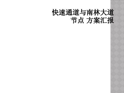 快速通道与南林大道节点 方案汇报