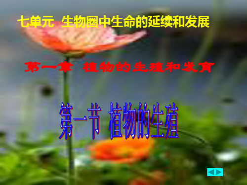 植物的生殖和发育(34PPT,缺少动画与视频)