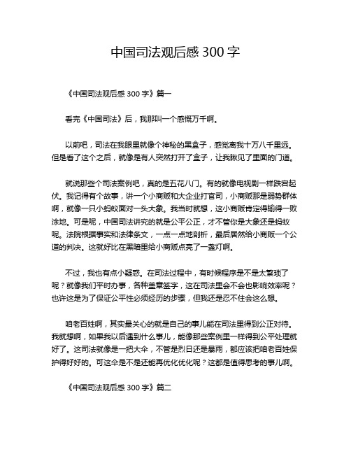 中国司法观后感300字