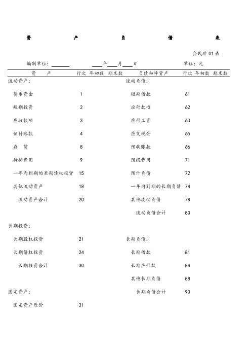 民间非营利组织财务报表.docx