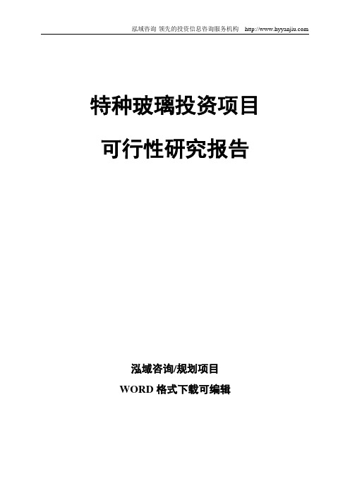 特种玻璃投资项目可行性研究报告