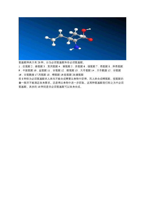氨基酸种类