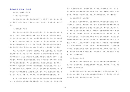 乡党政办公室202年工作总结