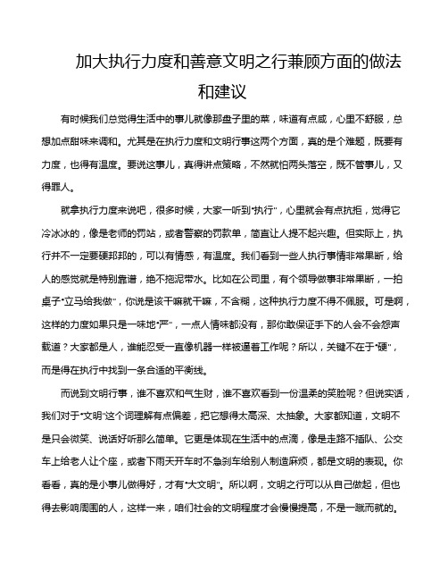 加大执行力度和善意文明之行兼顾方面的做法和建议