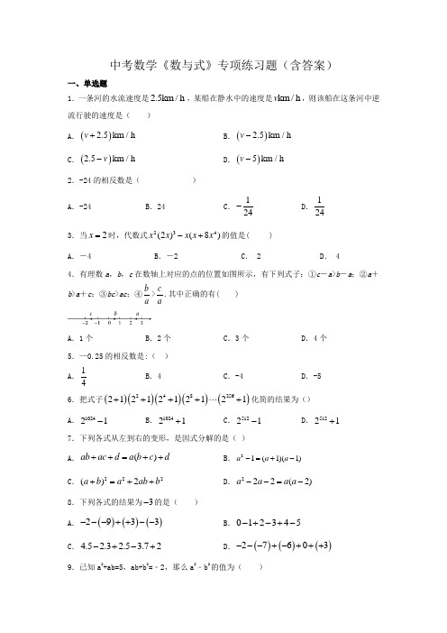 中考数学《数与式》专项练习题(含答案)