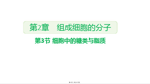 新教材人教版高中生物必修一 2.3 细胞中的糖类和脂质 教学课件