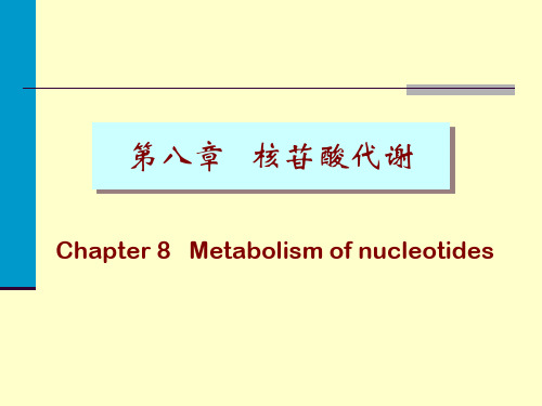 核苷酸代谢 08_Nucleotids