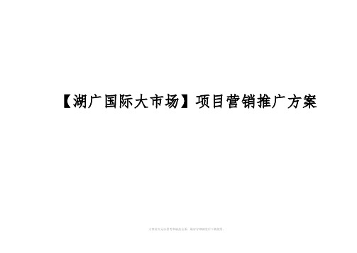 贺州市湖广国际大市场项目营销推广方案