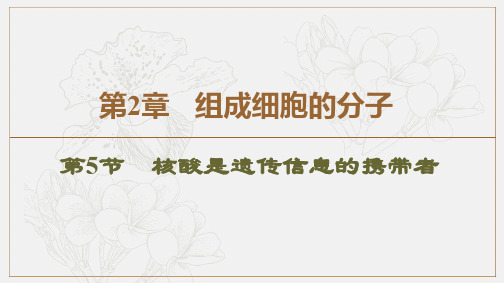 2019-2020同步新教材人教生物必修一新突破课件:第2章 第5节 核酸是遗传信息的携带者