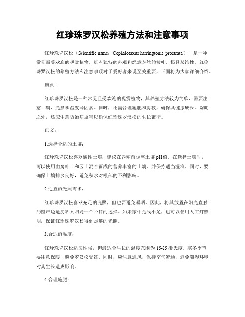 红珍珠罗汉松养殖方法和注意事项