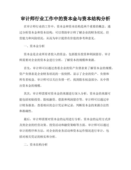 审计师行业工作中的资本金与资本结构分析