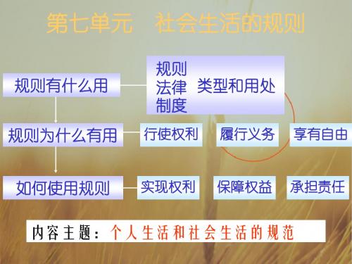 初中历史课件-初一历史复习_7第7单元() 最新