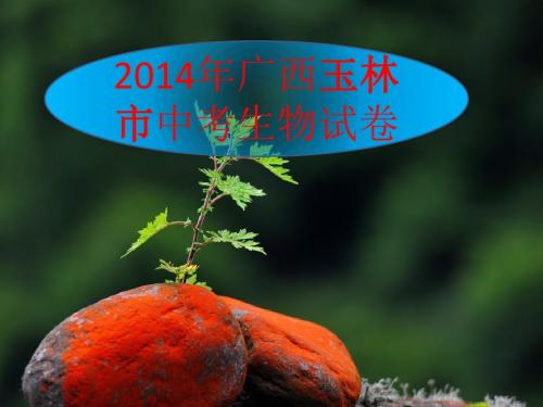 2014年广西玉林市中考生物试卷