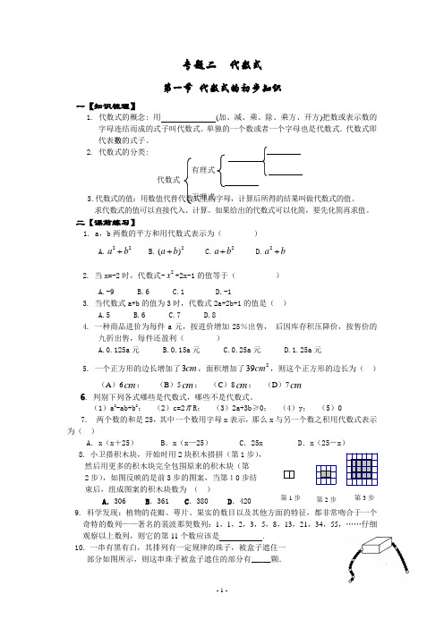 代数式的初步知识