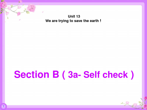 新目标九年级英语Unit13SectionB(3a-SelfCheck)课件