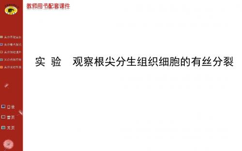 2014届高三生物金榜频道一轮课件:必修16实验:观察根尖分生组织细胞的有丝分裂