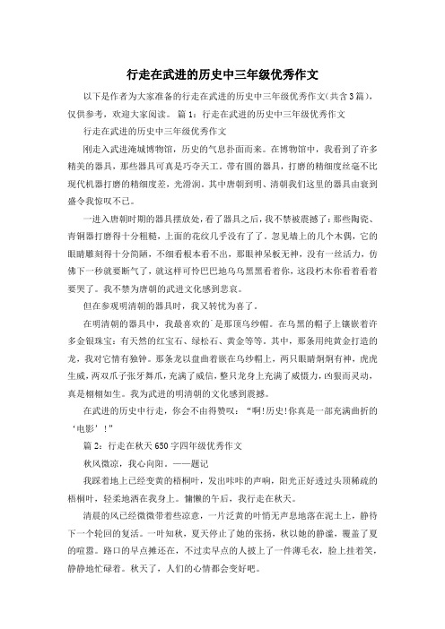 行走在武进的历史中三年级优秀作文