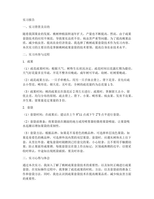 桃树疏果套袋实习报告