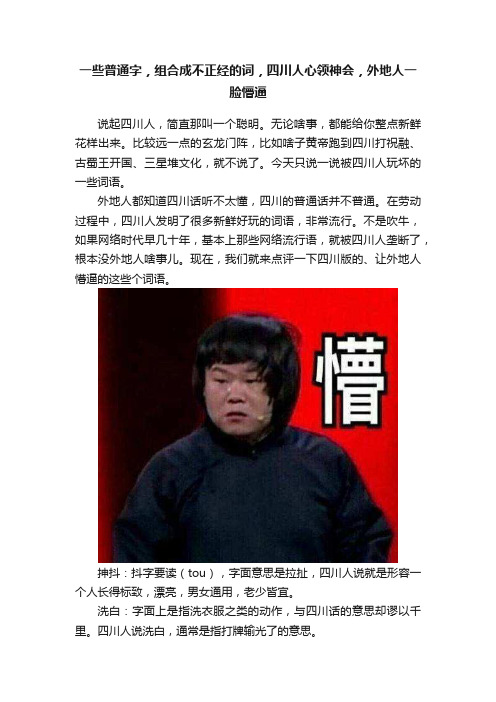 一些普通字，组合成不正经的词，四川人心领神会，外地人一脸懵逼