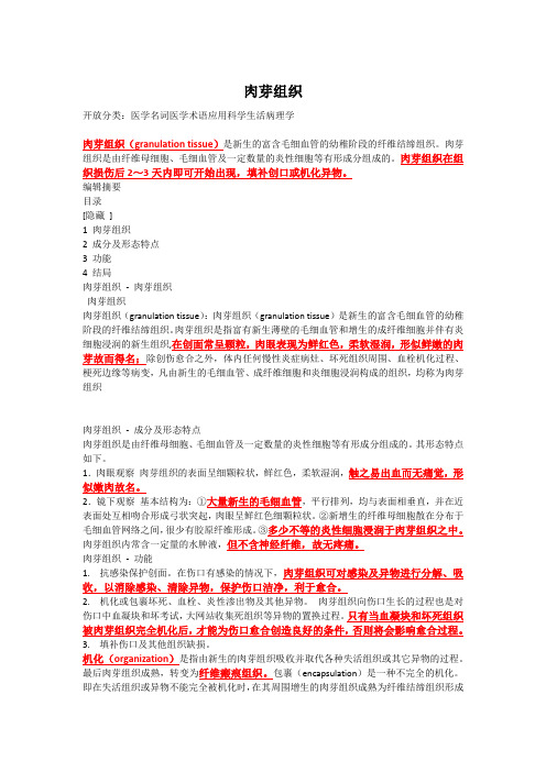 肉芽组织