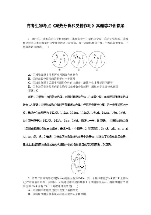 高考生物考点《减数分裂和受精作用》真题练习含答案