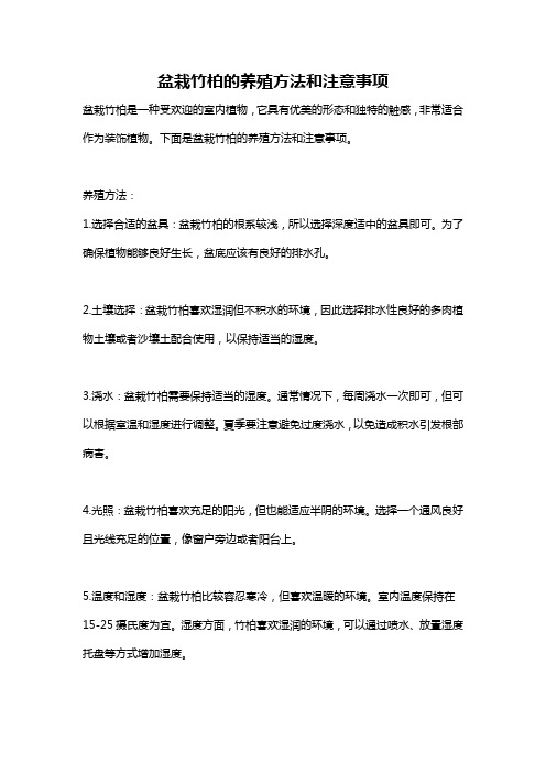 盆栽竹柏的养殖方法和注意事项