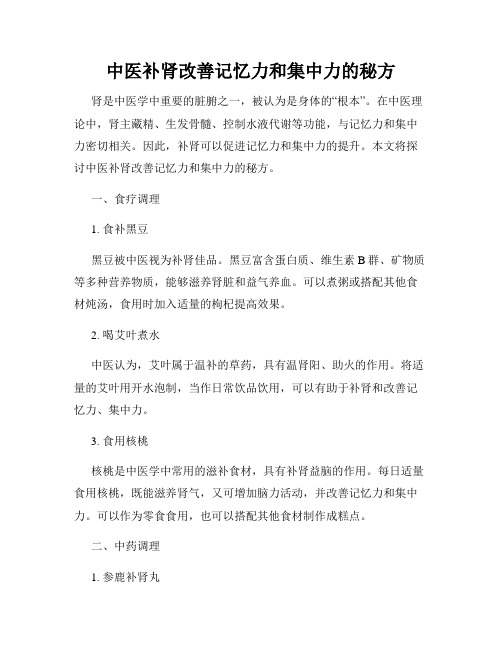 中医补肾改善记忆力和集中力的秘方