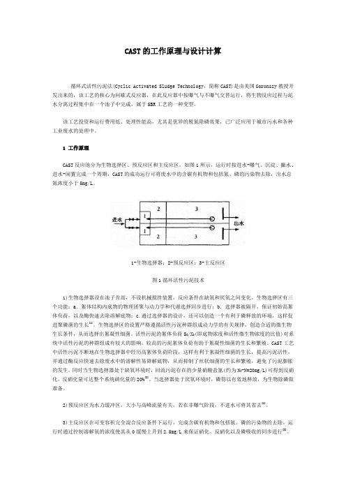 CAST的工作原理与设计计算