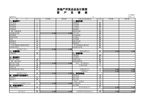 房地产资产负债表