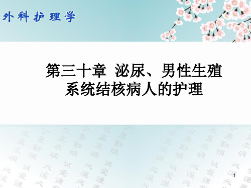 泌尿男性生殖结核病人护理PPT课件