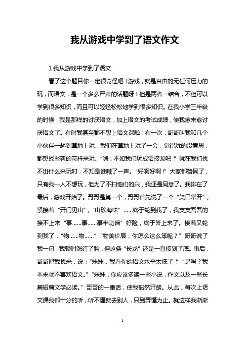 我从游戏中学到了语文作文