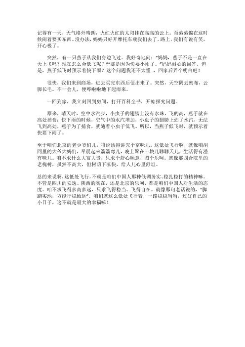 低处飞行作文800字高中