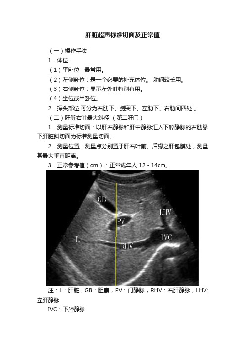 肝脏超声标准切面及正常值