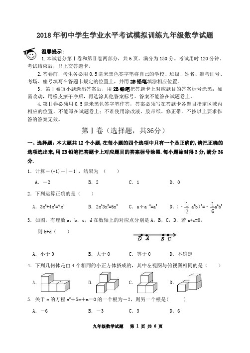 2018年初中学生学业水平考试模拟训练九年级数学试题及参考答案