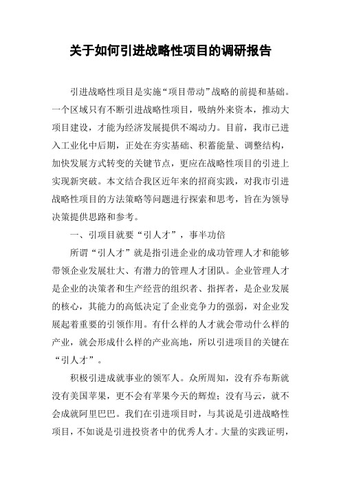 关于如何引进战略性项目的调研报告