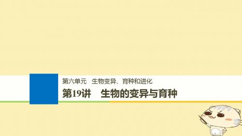 (浙江选考)19版高考生物一轮总复习第六单元生物变异、育种和进化第19讲生物的变异与育种课件