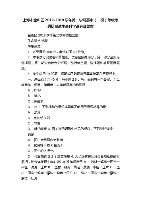 上海市金山区2018-2019学年第二学期高中（二模）等级考调研测试生命科学试卷含答案