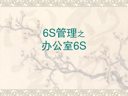 办-公-室-的-6S