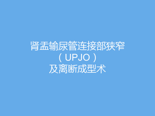 肾盂输尿管连接部狭窄(UPJO)及离断成型术