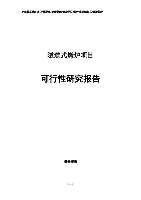 隧道式烤炉项目可行性研究报告