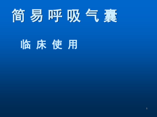 简易呼吸气囊ppt课件