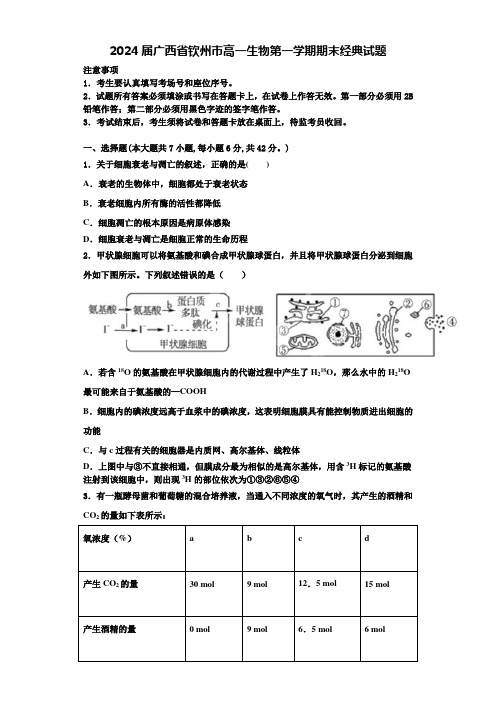 2024届广西省钦州市高一生物第一学期期末经典试题含解析