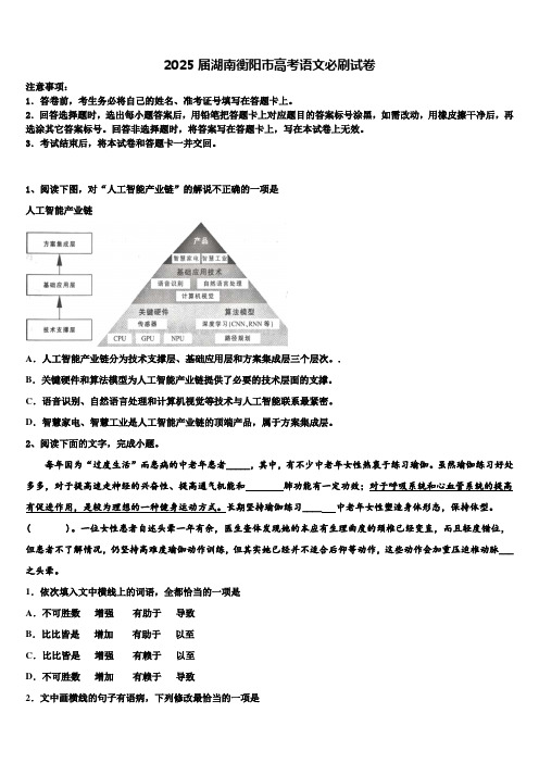 2025届湖南衡阳市高考语文必刷试卷含解析