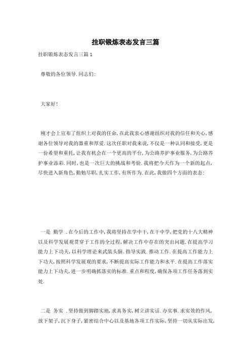 挂职锻炼表态发言三篇