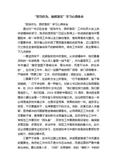 “担当作为、狠抓落实”学习心得体会